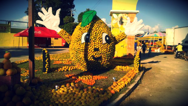 Feria de la naranja